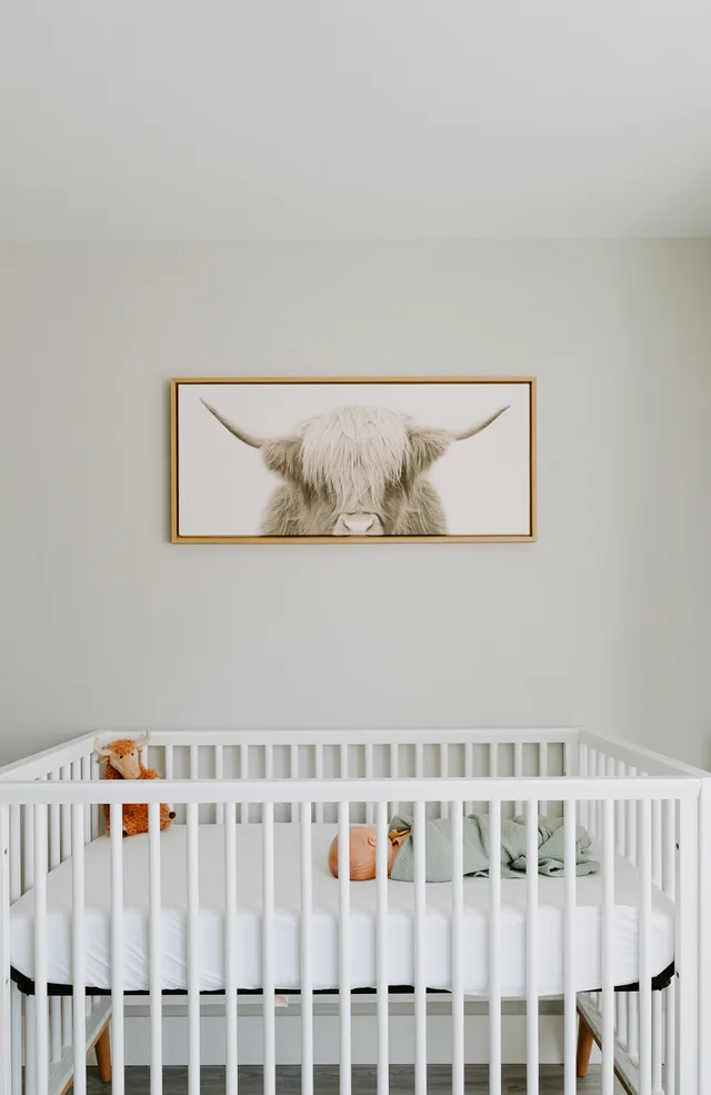 Bellevue Newborn Photographer