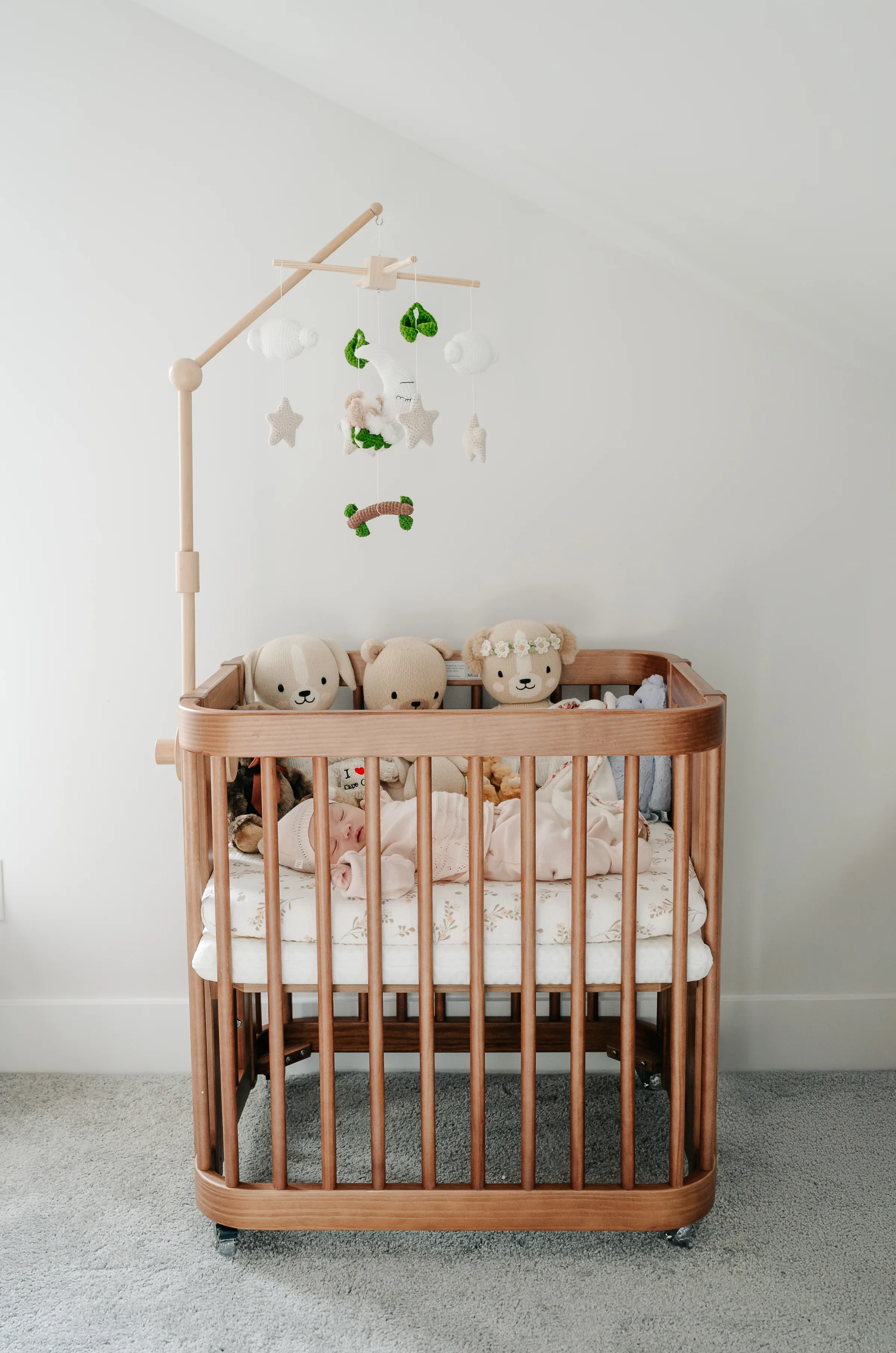 Bothell Newborn Photographer 3