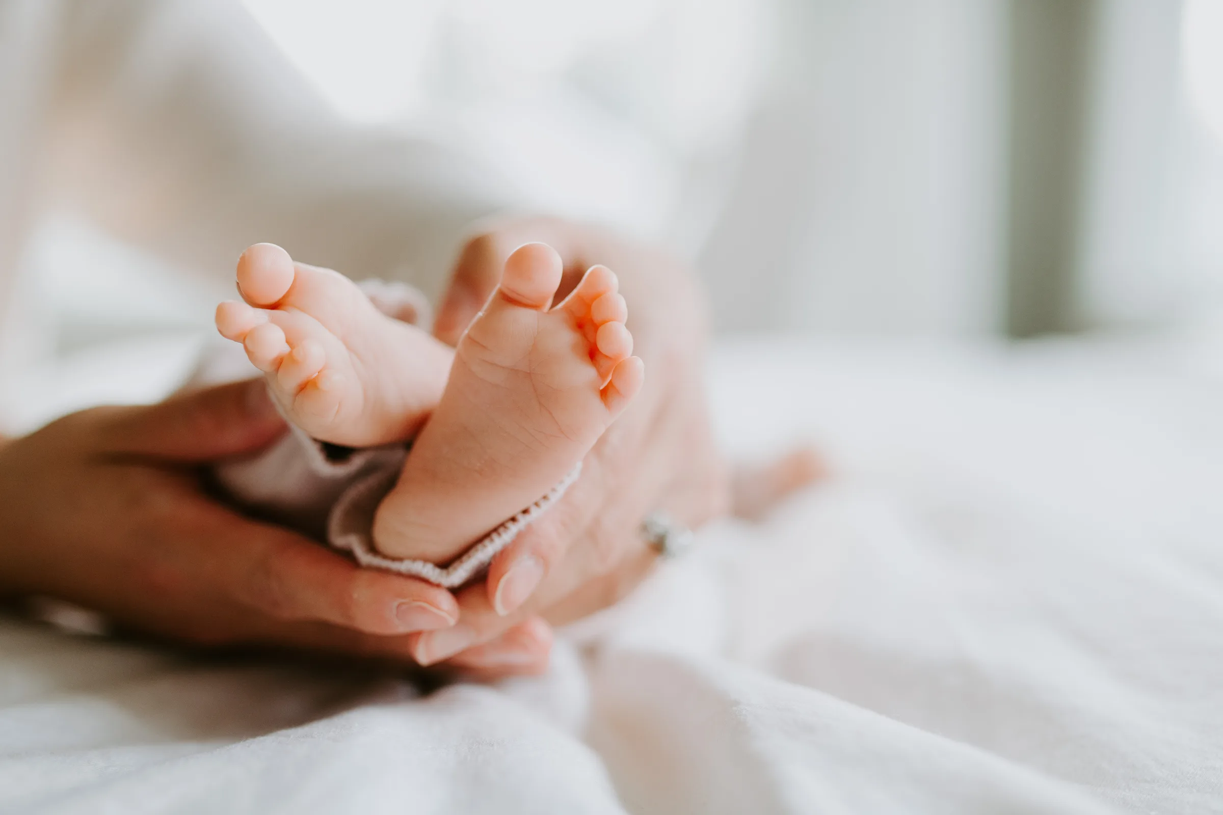 Bellevue Newborn Photographer 3