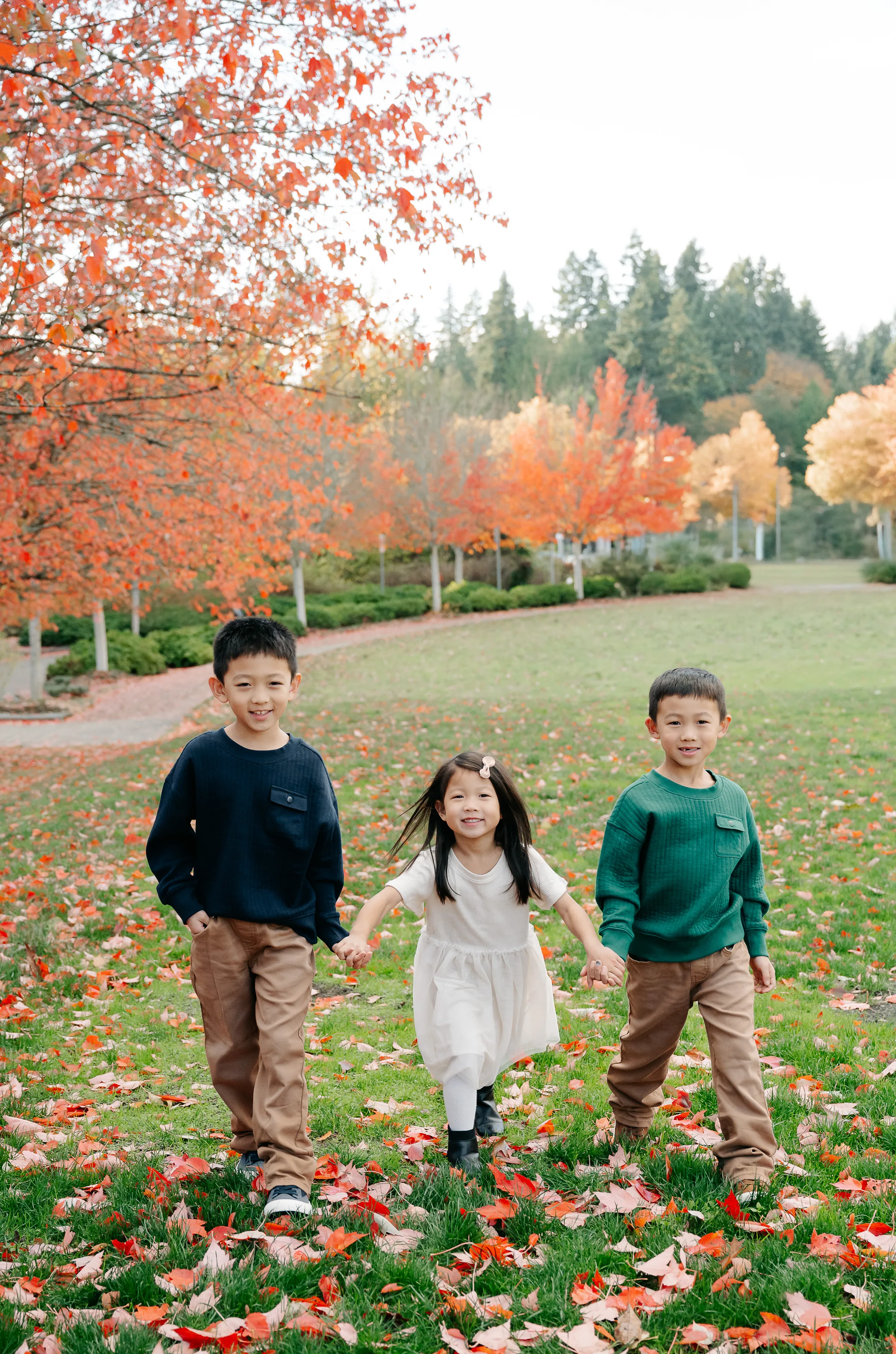 Bothell Holiday mini